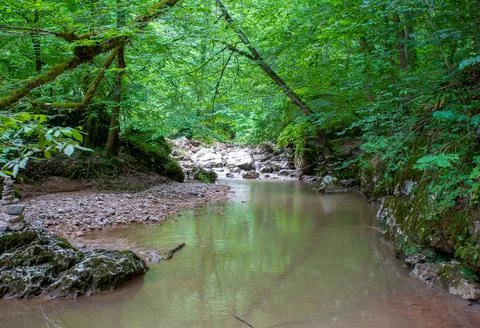The source of a mountain river, on the slopes and in a stone riverbed in the Stock Photos