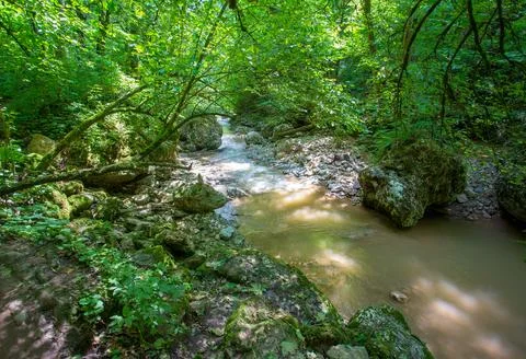 The source of a mountain river, on the slopes and in a stone riverbed in the Stock Photos