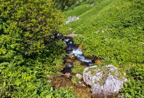 The source of the mountain river in the summer, walking along the rocky shore Stock Photos
