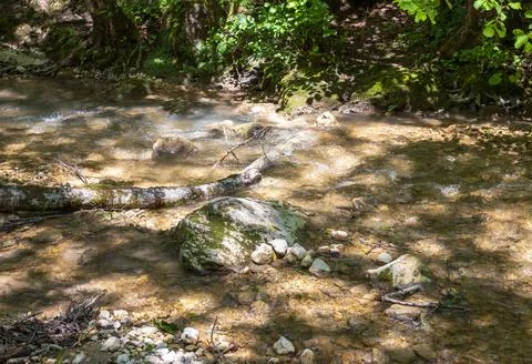 The source of the mountain river in the summer, walking along the rocky shore Stock Photos