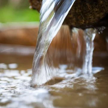 A source in the mountains close up . Stock Photos