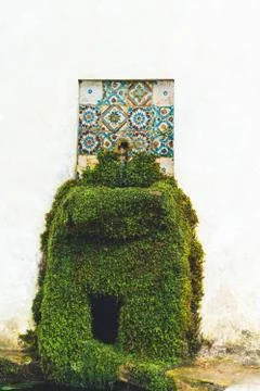 Source of natural spring water with pipe. white textured background. vertical Stock Photos