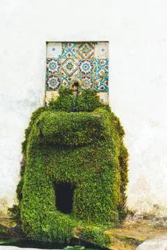 Source of natural spring water with pipe. white textured background. vertical Foto stock