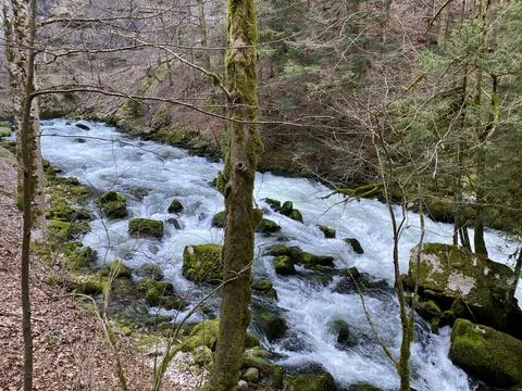 The source of the Orbe River (Source de l'Orbe, Quelle der Orbe Fluss), Vallorbe 库存照片