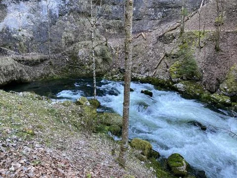 The source of the Orbe River (Source de l'Orbe, Quelle der Orbe Fluss), Vallorbe Stock Photos