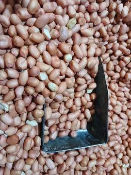 Source of protein Stock Photos