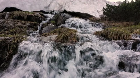 Source of the Prut Stock Footage 170801277