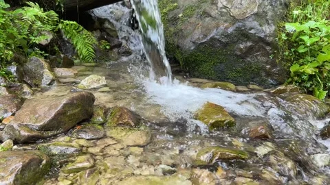 A source of pure drinking mineral water descends from the mountains along a Stock Footage 250302136