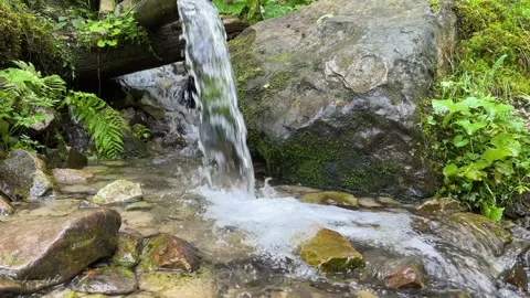 A source of pure drinking mineral water descends from the mountains along a Video stock 251130812