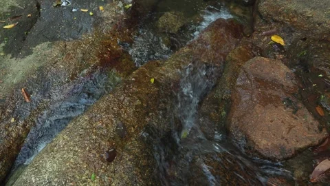 Source of pure water in jungle Stock Footage 332100306