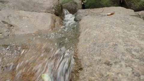 Source of pure water in rain forest, loop. Stock Footage 332318417