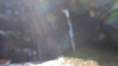Source of pure water in sunbeams. Spring background Stock Footage 94916745