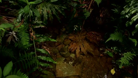 The Source of the River that Feeds into Olhos D’Agua’s Park Stock Footage 166867755