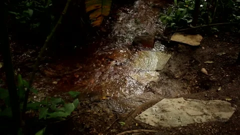 The Source of the River that Feeds into Olhos D’Agua’s Park Video stock 166868013