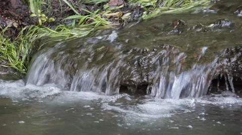 Source of the river 库存影片 64256877