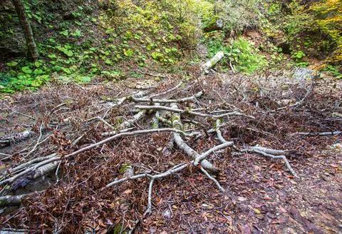 The source of the river, a walk along the riverbed with an overview of the ca Stock Photos