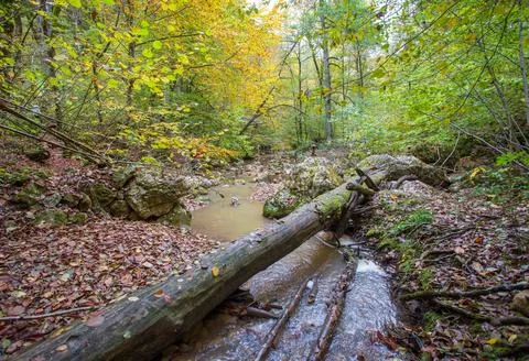 The source of the river, a walk along the riverbed with an overview of the ca Stock Photos