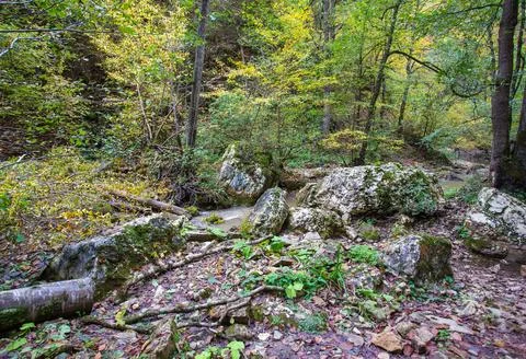The source of the river, a walk along the riverbed with an overview of the ca Stock Photos