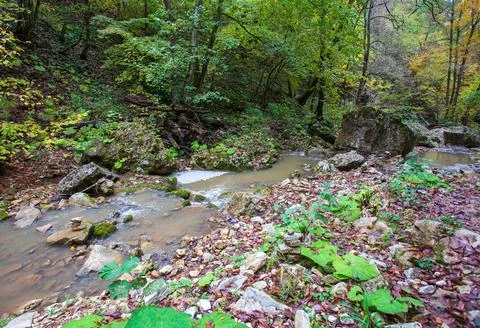 The source of the river, a walk along the riverbed with an overview of the ca Stock Photos