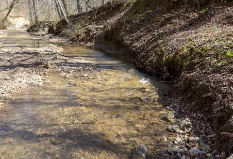 The source of the river in the wild, a walk along the riverbed with an overvi Stock Photos