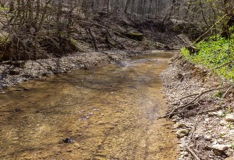 The source of the river in the wild, a walk along the riverbed with an overvi Stock Photos