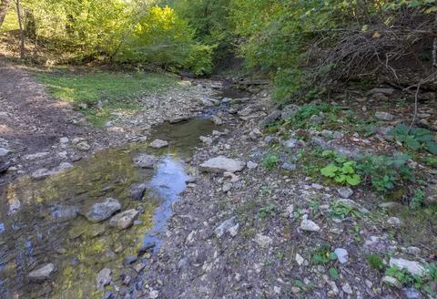 The source of the river in the wild, a walk along the riverbed with an overvi Stock Photos
