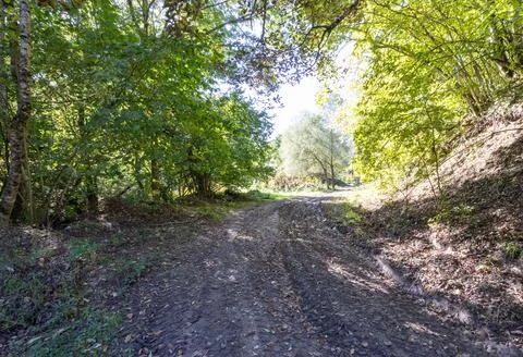The source of the river in the wild, a walk along the riverbed with an overvi Stock Photos