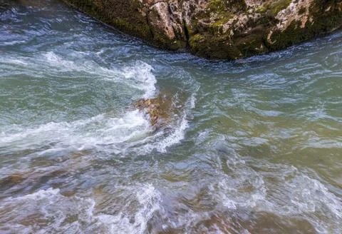 The source of the river in the wild, a walk along the riverbed with a view of Stock Photos