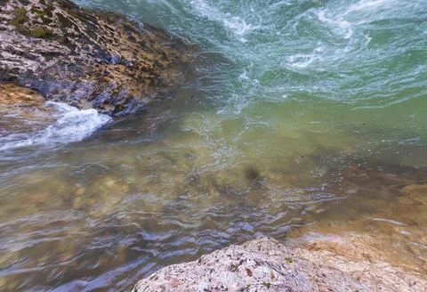 The source of the river in the wild, a walk along the riverbed with a view of Stock Photos