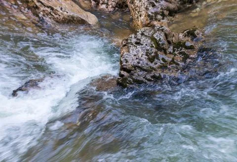 The source of the river in the wild, a walk along the riverbed with a view of Stock Photos