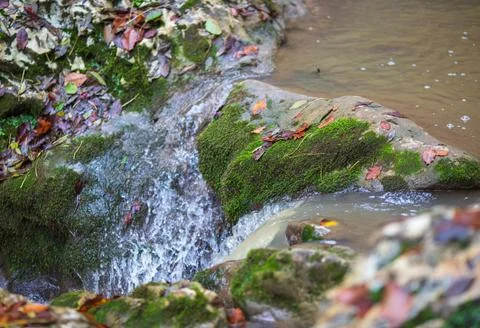 The source of the river in the wild, a walk along the riverbed with a view of Stock Photos