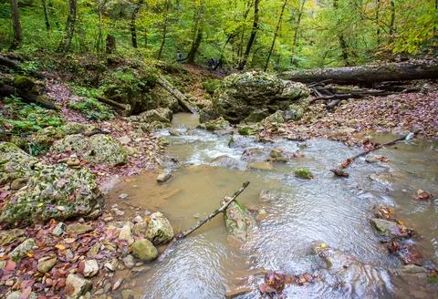 The source of the river in the wild, a walk along the riverbed with a view of Stock Photos
