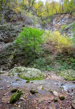 The source of the river in the wild, a walk along the riverbed with a view of Stock Photos