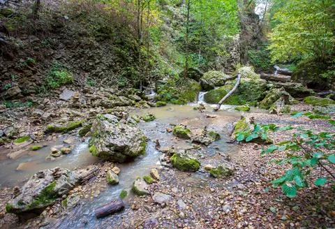 The source of the river in the wild, a walk along the riverbed with a view of Stock Photos