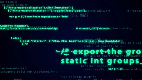Source scripts on the screen Stock Footage 161805463