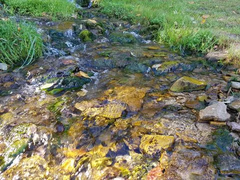 The source of a small spring at the hillside giving rise to a full flowing ri Stock Photos