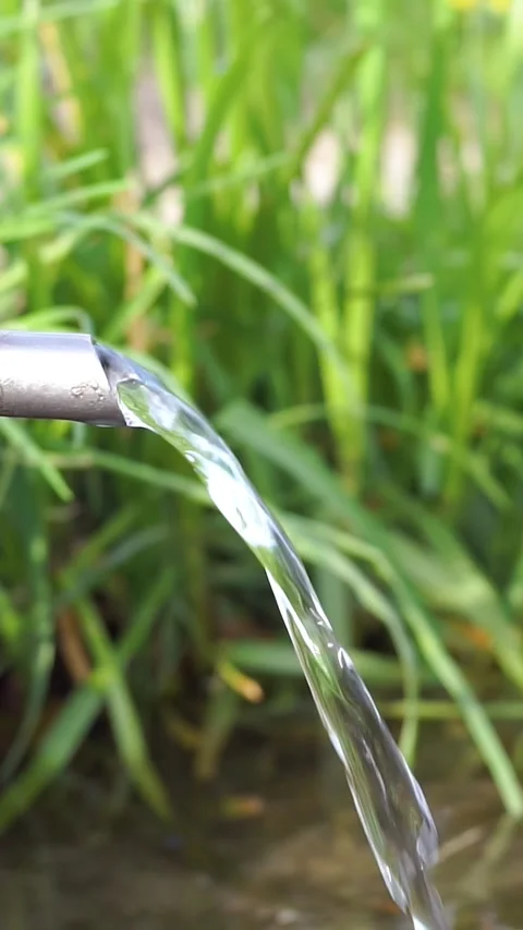 Source of spring water 動画素材 305854540