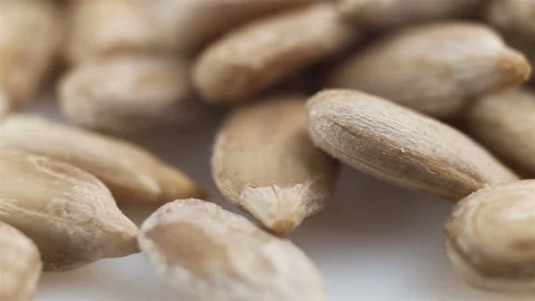 Source of tocopherol, unroasted, peeled, selected sunflower seeds extreme close- Stock Footage 129278389