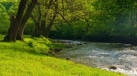 Source of Turiya river in spring Stock Photos
