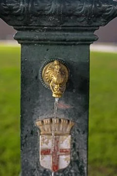 Source of useful water in the shape of a lion's head in the historical part.. Stock Photos
