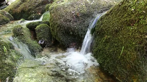 A source of water flows the beginning of the Luda Mara River Stock Footage 76519751