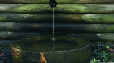 Source of water in the forest Video stock 68203823