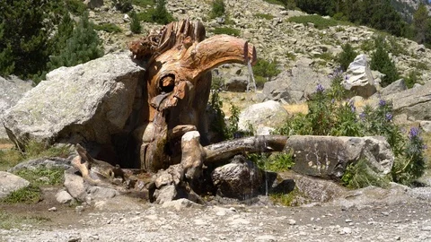 Source of water in the mountains with clear spring water Stock Footage 114995720