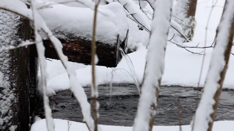 A source in winter 4k 25fps video Stock-Footage 330460174