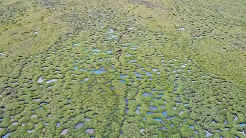 The source of the Yellow River on the Qinghai Tibet Plateau Stock Footage 143828954