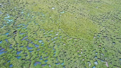 The source of the Yellow River on the Qinghai Tibet Plateau Stock Footage 143829086