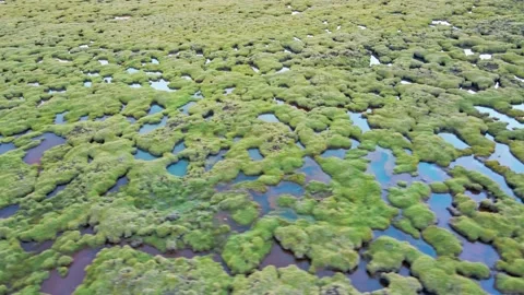The source of the Yellow River on the Qinghai Tibet Plateau Stock Footage 143829549