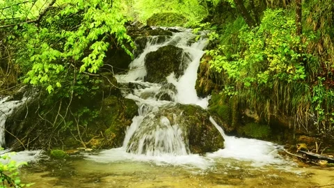 The sources of the Aniene river 库存影片 135447327