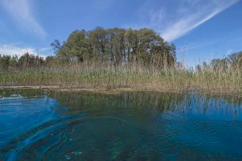 The sources of St. Naum. Stock Photos