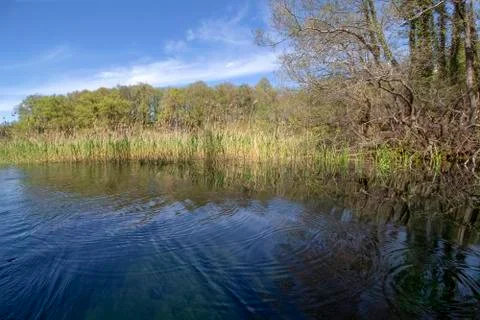 The sources of St. Naum. Stock Photos